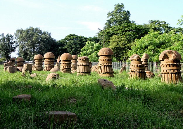 rangapahar-reserve-skov_nagaland-turist-steder