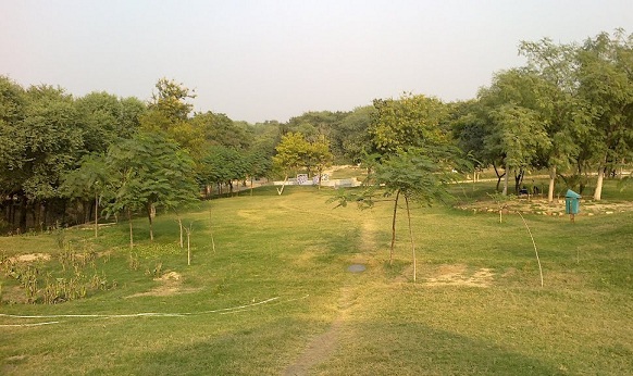 parker-i-agra-taj-naturpark