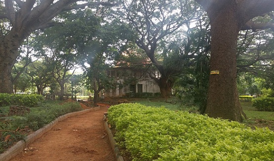 parks-in-bangalore-m-n-Krisna-rao-park