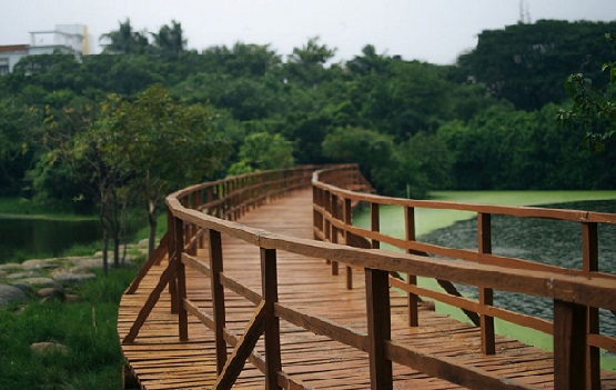 parks-in-chennai-tholkappiar-ökológiai park