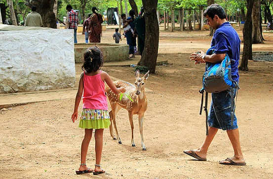 parkok Chennai -ban