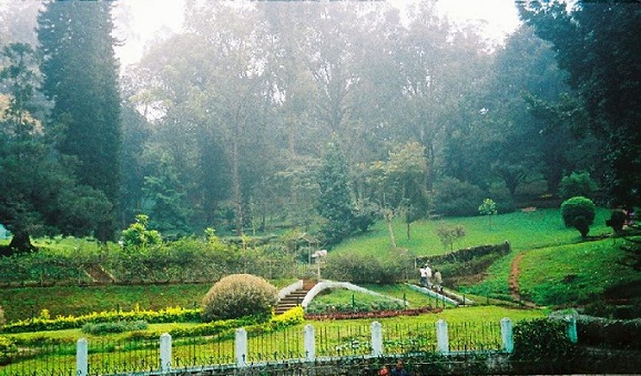 parker i ooty