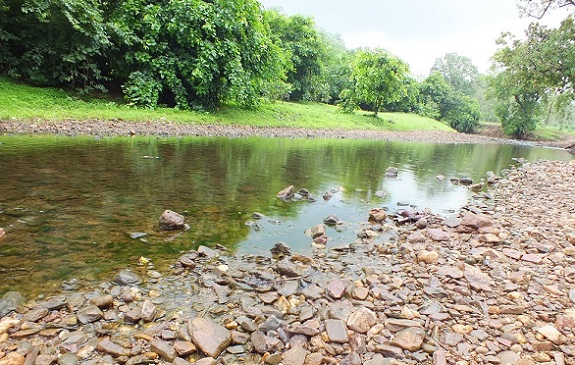 parker-i-vadodara-jambughoda-wildlife-sanctuary