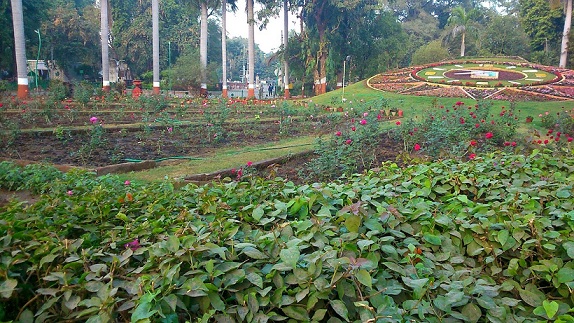 parkok Vadodara