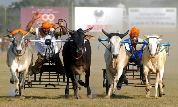 Punjab turiststeder