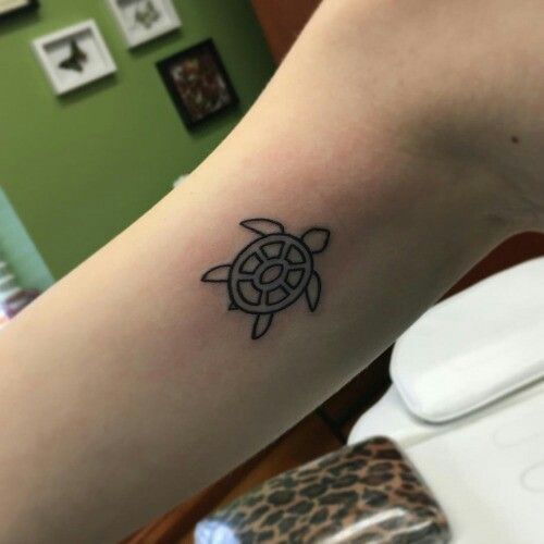 Turtle Line tatovering