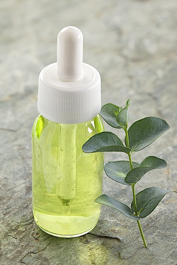 Eucalyptus olie