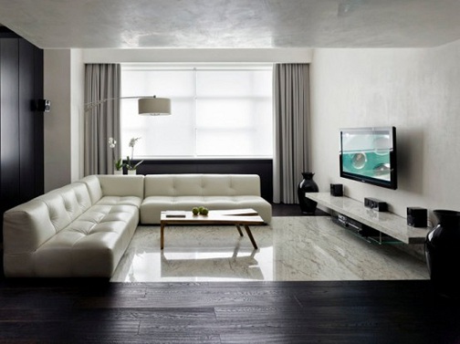 Minimalistisk Living Hall Design