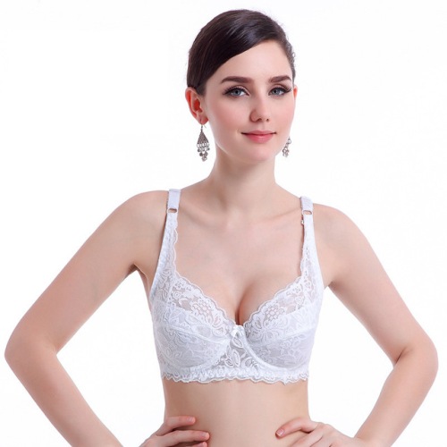 Ajour Fashion Transparent Lace Demi Bra