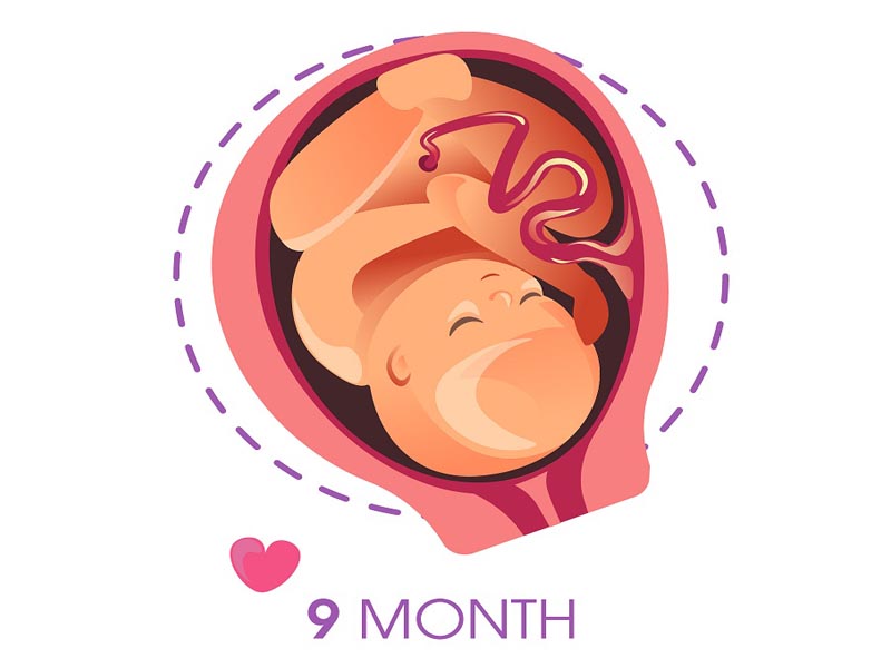 A terhesség 9. hónapja