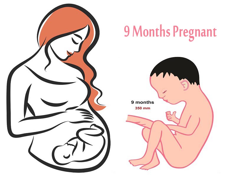 9. måned af graviditeten