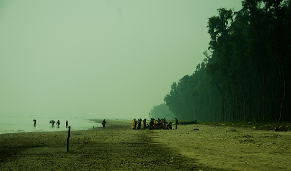 nyugat -bengáli strandok