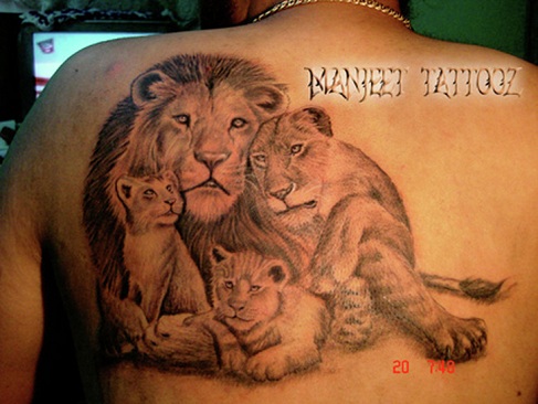 Heart Touching Lion Pride Tattoo Designs