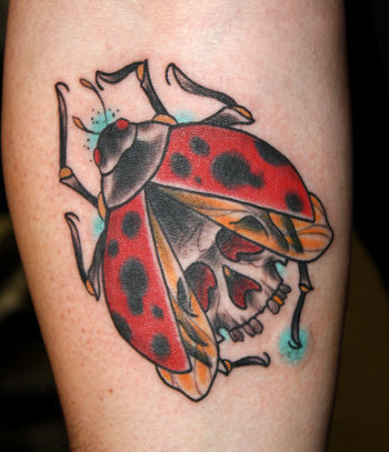 Mariehøne tatoveringer