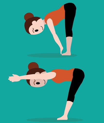 Front Bend leatrial rejser