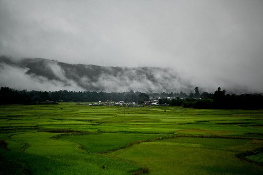 Ziro -völgy