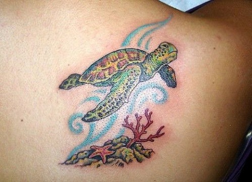 Attraktive Turtle Ocean Tattoo Designs