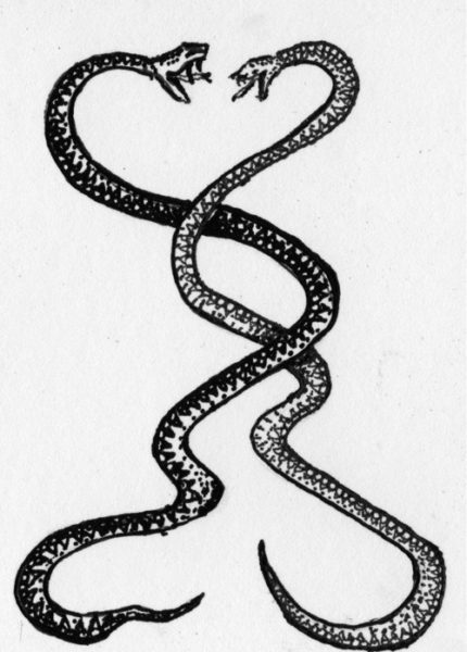 Romantikus összefonódó kígyó tetoválás