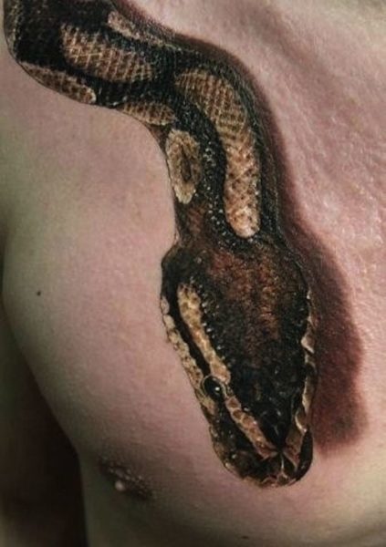 Realistisk Python Head Tattoo på brystet