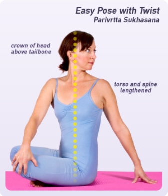 Spinal Twist Pose