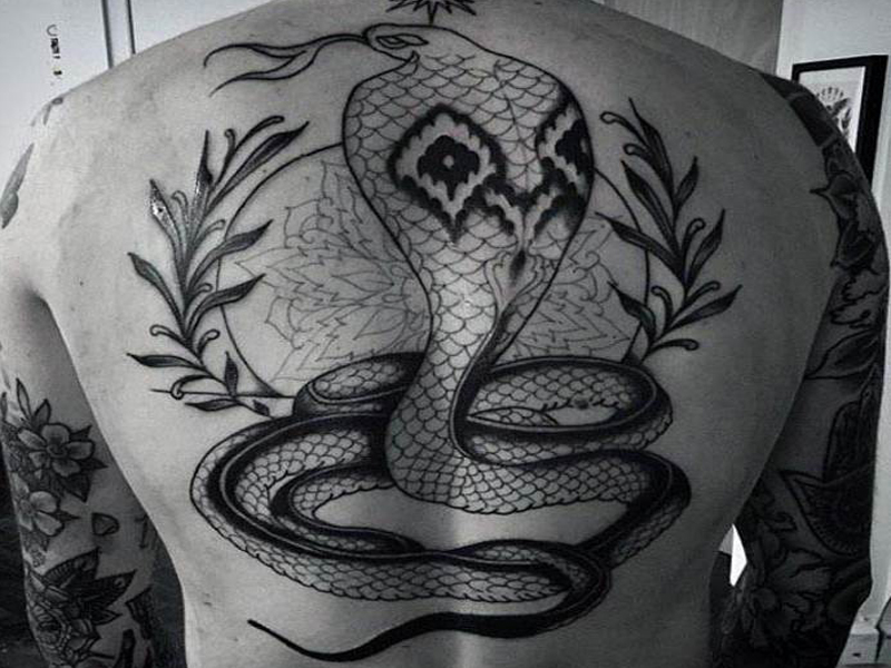Fantastiske Cobra -tatoveringsdesigner