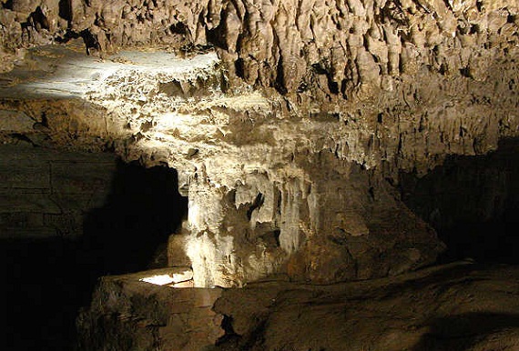 A Belum -barlangok csodái -Banyan Tree
