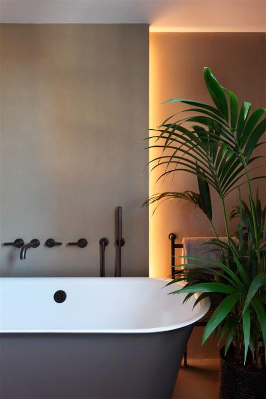 Korosta sisätiloja, yhdistä LED -taustavalo kylpyhuoneen vihreisiin huonekasveihin