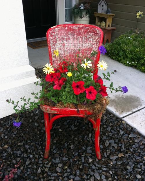 Vanhat tuolit puutarhassa, joissa on uusi toiminto punaiset kukat keltaiset houkuttelevat istutuskoneet