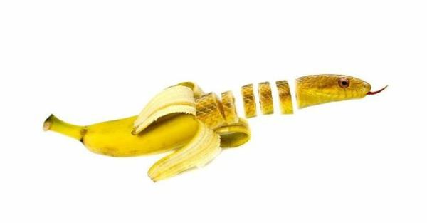 Kollaaseja eläimistä hedelmillä ja vihanneksilla banaani
