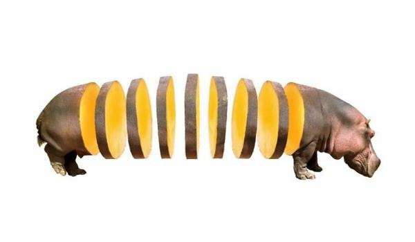 Animal Food Hippos kollaaseja eläimistä, hedelmiä ja vihanneksia mango