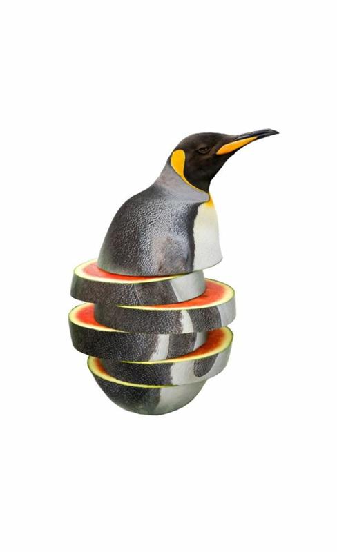 Eläinten ruoka -kollaaseja eläimistä, joissa on hedelmiä ja vihanneksia pingviini