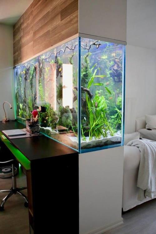Akvaario kotona Huoneenjakaja kotitoimiston ja olohuoneen välillä on erittäin näyttävä muotoilu