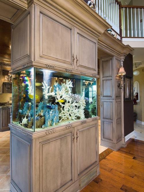 Kotona oleva akvaario tuo värikkään vedenalaisen maailman kotiisi houkuttelevaan sisustukseen