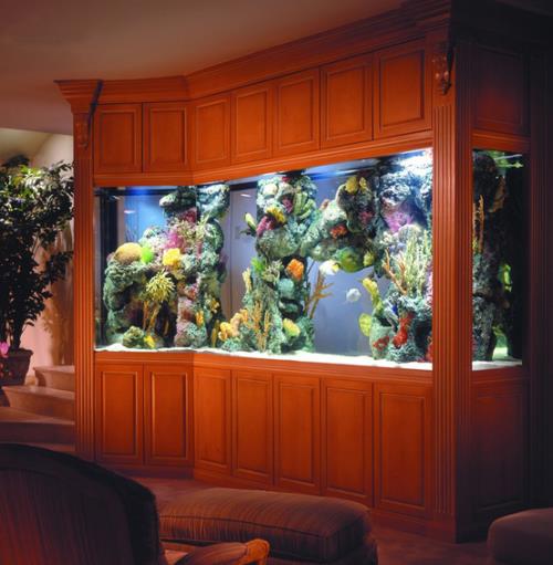 Akvaario kotona suuri sisäänrakennettu allas eri vedenalaiset kasvit katseenvangitsija huoneessa