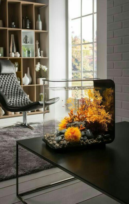 Akvaario kotona loistava katseenvangitsija sohvapöydällä modernissa olohuoneessa