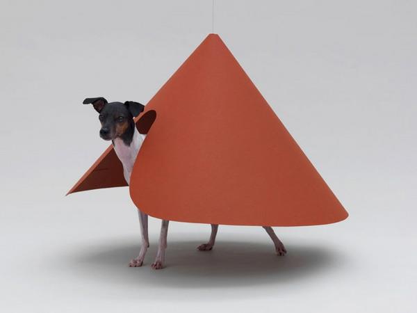 Arkkitehtuuri koirille alun perin suunniteltu oranssi pinta