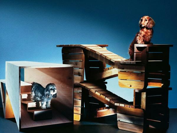 Koirat keksivät eläinpelien arkkitehtuurin