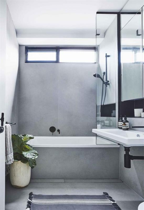 Kylpyhuoneen mallit harmaalla sävyllä kylpyhuoneessa, mustat kylpyhuonekalusteet, kylpyammeet, lasiseinäpeilit