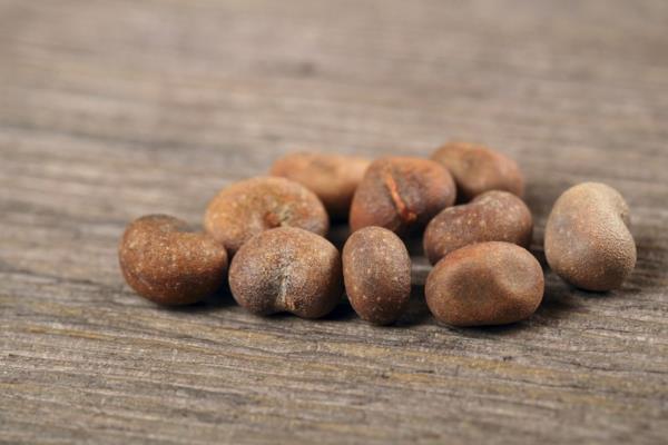Baobab -hedelmien superhedelmien terveyshyödyt
