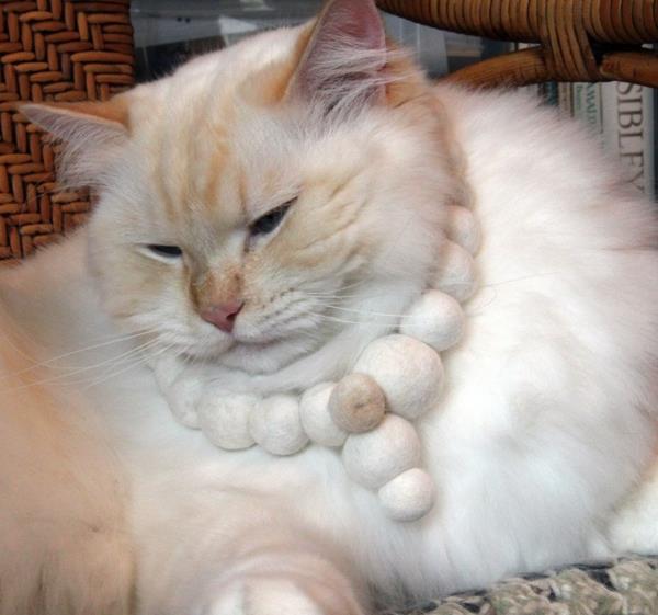 Käsityöt kissankarvan turkispalloilla ketjutalo kissa
