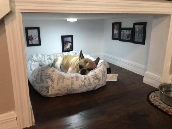 Koiran portaikon sänky