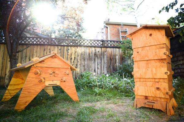 Mehiläispesän rakennusopas