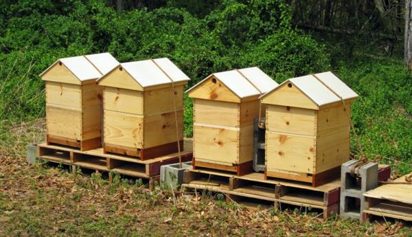 Mehiläispesä rakentaa puuta