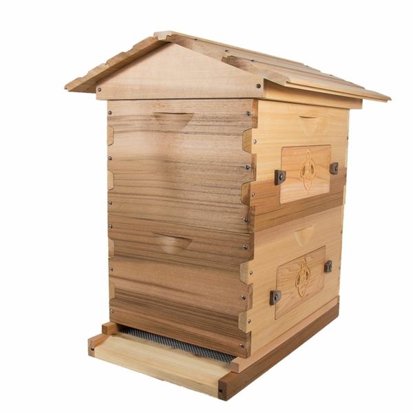 Rakenna mehiläispesä Rakenna mehiläispesä