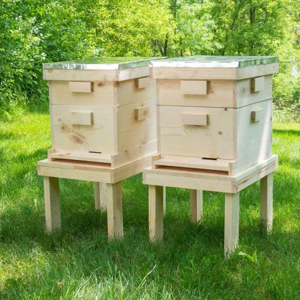 Mehiläispesä rakentaa kaksi mehiläispesää
