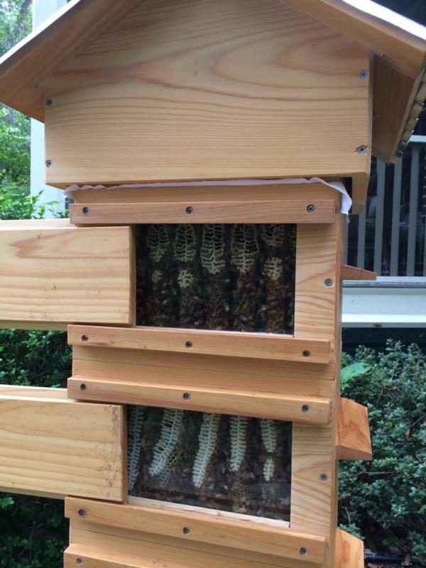 Rakenna oma mehiläispesä -DIY -projekti