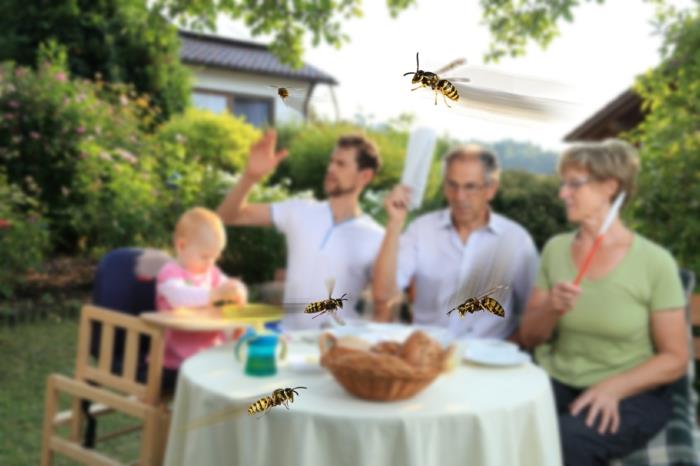 Rutto perhe päivällisellä ampiaisten kanssa