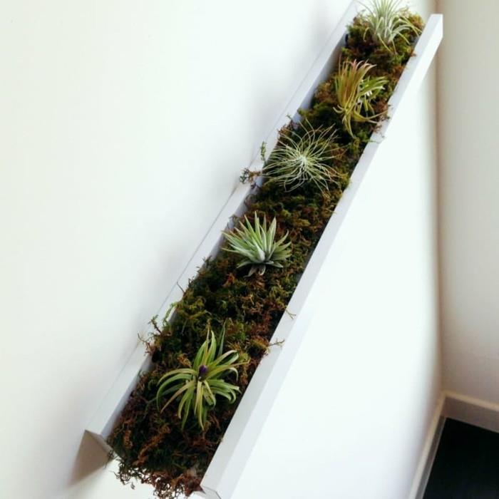 kuva nauhat diy ideoita huonekasvit helppohoitoisia mehikasveja