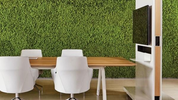 Biophilia Biophilic design Elävät trendit Vilkas toimistoilmapiiri