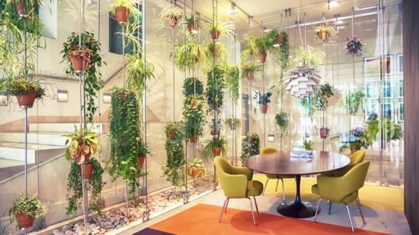 Biophilia Biophilic design elävä sisustus riippuvat huonekasvit